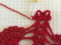 Toalha vermelha passo a passo (147)