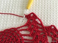 Toalha vermelha passo a passo (147)