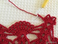 Toalha vermelha passo a passo (148)