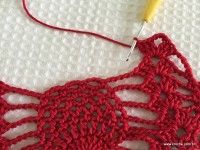 Toalha vermelha passo a passo (148)