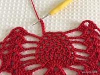 Toalha vermelha passo a passo (150)