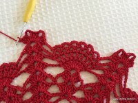 Toalha vermelha passo a passo (154)