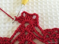 Toalha vermelha passo a passo (155)