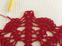 Toalha vermelha passo a passo (156)