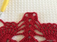 Toalha vermelha passo a passo (157)