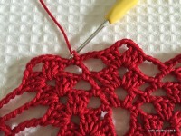 Toalha vermelha passo a passo (157)