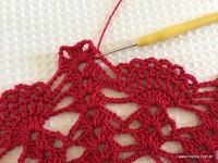 Toalha vermelha passo a passo (158)