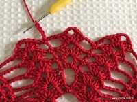 Toalha vermelha passo a passo (158)