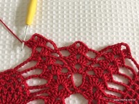 Toalha vermelha passo a passo (159)