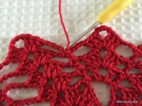 Toalha vermelha passo a passo (162)