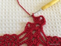 Toalha vermelha passo a passo (163)