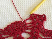 Toalha vermelha passo a passo (166)