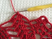 Toalha vermelha passo a passo (166)