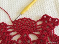 Toalha vermelha passo a passo (168)