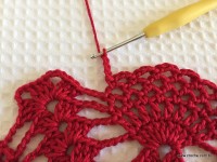 Toalha vermelha passo a passo (169)