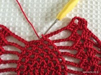 Toalha vermelha passo a passo (169)