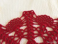 Toalha vermelha passo a passo (170)