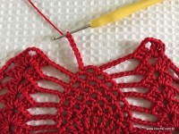 Toalha vermelha passo a passo (170)