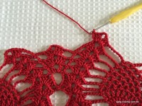 Toalha vermelha passo a passo (171)