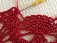 Toalha vermelha passo a passo (172)