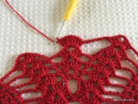 Toalha vermelha passo a passo (175)