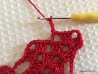 Toalha vermelha passo a passo (176)