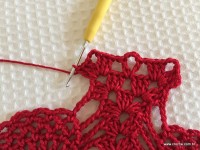 Toalha vermelha passo a passo (179)