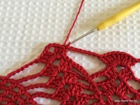 Toalha vermelha passo a passo (179)