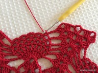 Toalha vermelha passo a passo (181)