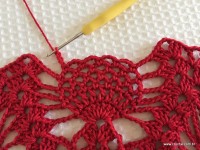 Toalha vermelha passo a passo (183)