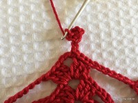 Toalha vermelha passo a passo (183)