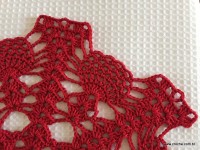 Toalha vermelha passo a passo (184)