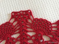 Toalha vermelha passo a passo (185)