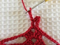 Toalha vermelha passo a passo (185)