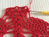 Toalha vermelha passo a passo (186)