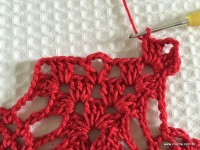 Toalha vermelha passo a passo (188)