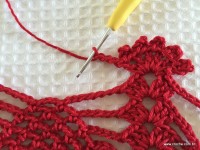 Toalha vermelha passo a passo (190)