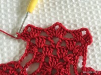 Toalha vermelha passo a passo (191)