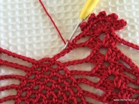 Toalha vermelha passo a passo (191)