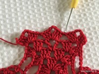 Toalha vermelha passo a passo (192)