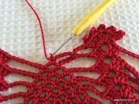 Toalha vermelha passo a passo (193)