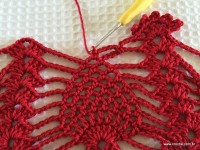 Toalha vermelha passo a passo (194)