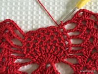 Toalha vermelha passo a passo (196)