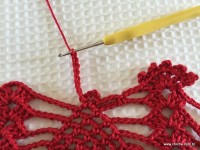 Toalha vermelha passo a passo (196)