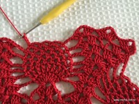 Toalha vermelha passo a passo (197)