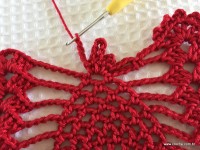 Toalha vermelha passo a passo (197)