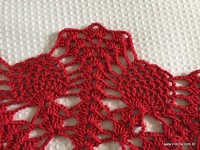 Toalha vermelha passo a passo (198)