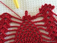 Toalha vermelha passo a passo (198)