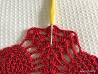 Toalha vermelha passo a passo (199)