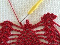 Toalha vermelha passo a passo (199)